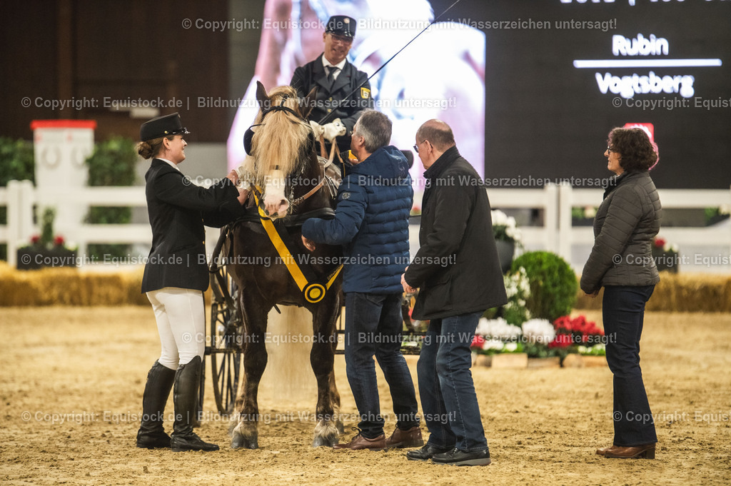 20240302_Hengstvorstellung_Marbach_TOMsPiC_0649-2 | equistock