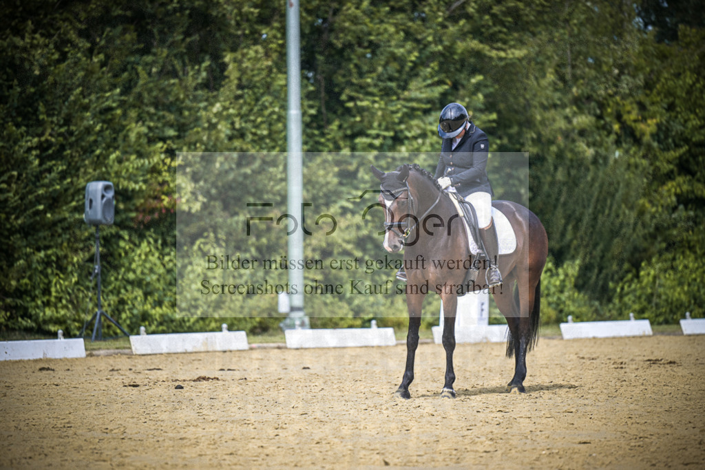 DOS_4107 | Entdecke hochwertige Reitturnierfotos von Foto Oger. Professionell, emotional und authentisch – jetzt Lieblingsmomente im Shop bestellen.Deutschlandweite Turnierfotografie. - Realisiert mit Pictrs.com