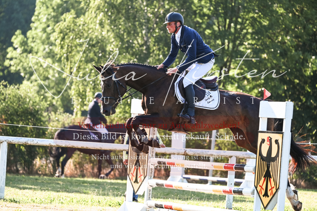 DSC_7448 | Pferde- und Turnierfotografie in Westsachsen. Pferdeportraits, Auftragszeichnungen und intuitive Kunst.