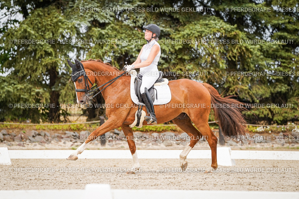 DSC07351 | Pferdegrafie