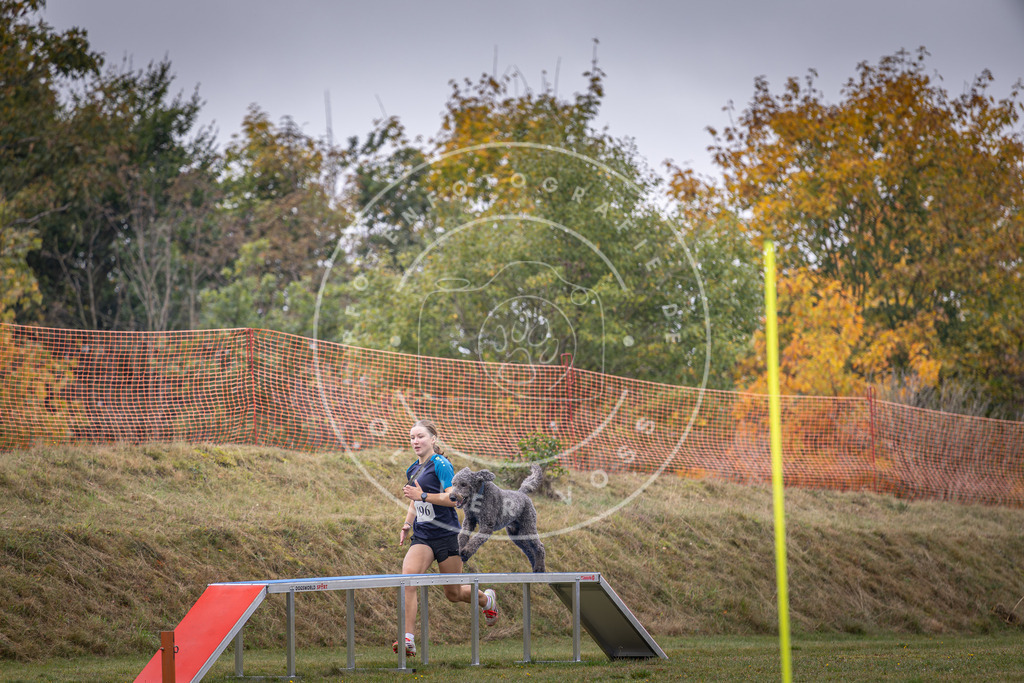 Pfotenfotografie_DV3A1385 | Hundefotografie, Tierfotograf, Pfotenfotografie, Fotoshooting Hund, Hunde Portrait, Hundesport, Hundeportraits, Heideshooting, Hunde, Sportfotograf, Hundefotograf, Turnierhundsport, THS,  - Realisiert mit Pictrs.com