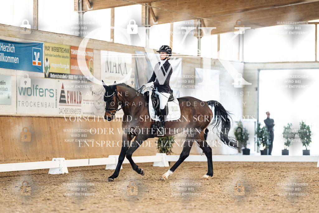 CK909259 | Turnierfotografie Pferdefotografie Trier Rheinland-Pfalz Pferdesport Reitsport Tierfotografie Sportfotografie Pferdevideo Pferdevideografie Equestrianvideography equestrianphotography  - Realisiert mit Pictrs.com