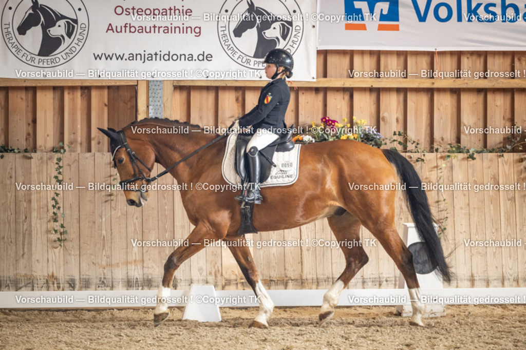 _D5A1466 | Emotionale Pferde- & People-Fotografie rund um Heidelberg, Leimen & Umgebung. Natürliche Fotos von Pferd, Mensch & Familie. Jetzt Termin sichern!