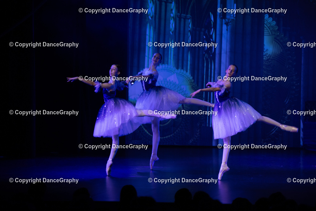 GPHY1624 | DanceGraphy - Realisiert mit Pictrs.com