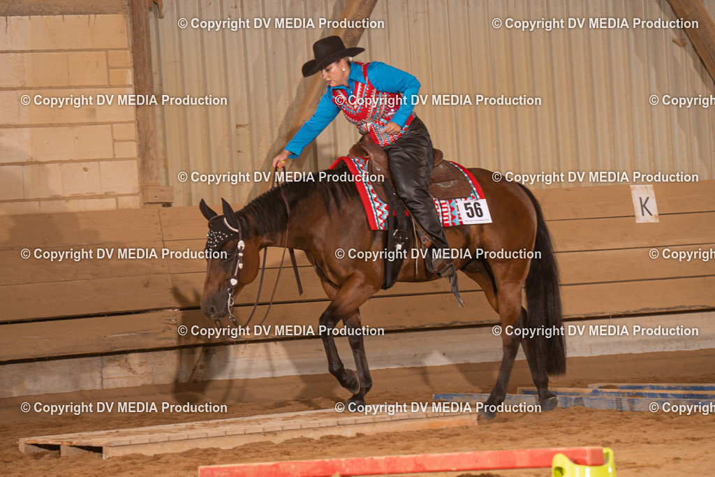 NID00658 | dv-media-shop - Realisiert mit Pictrs.com