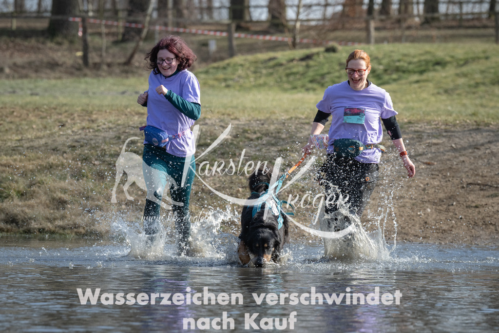 1337_ZZ97582 | kk-dogfotos