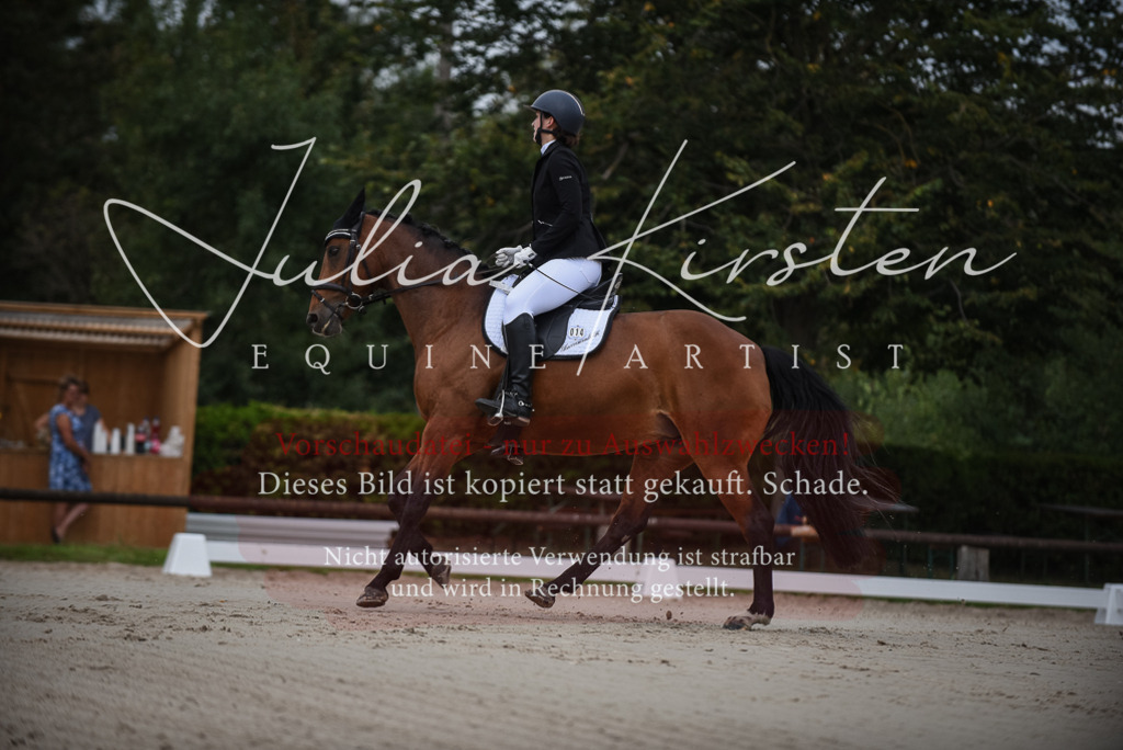 DSC_7967 | Pferde- und Turnierfotografie in Westsachsen. Pferdeportraits, Auftragszeichnungen und intuitive Kunst.