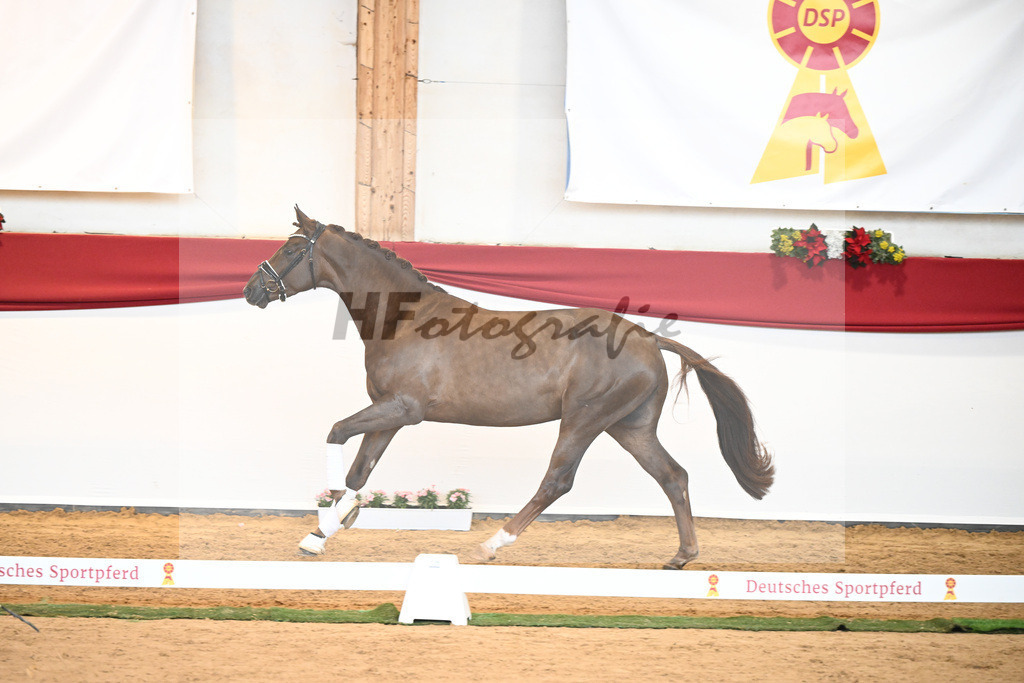 Kat-Nr. 41 Morricone I x De Niro_Kozok_43230530 | hf-fotografie - Realisiert mit Pictrs.com