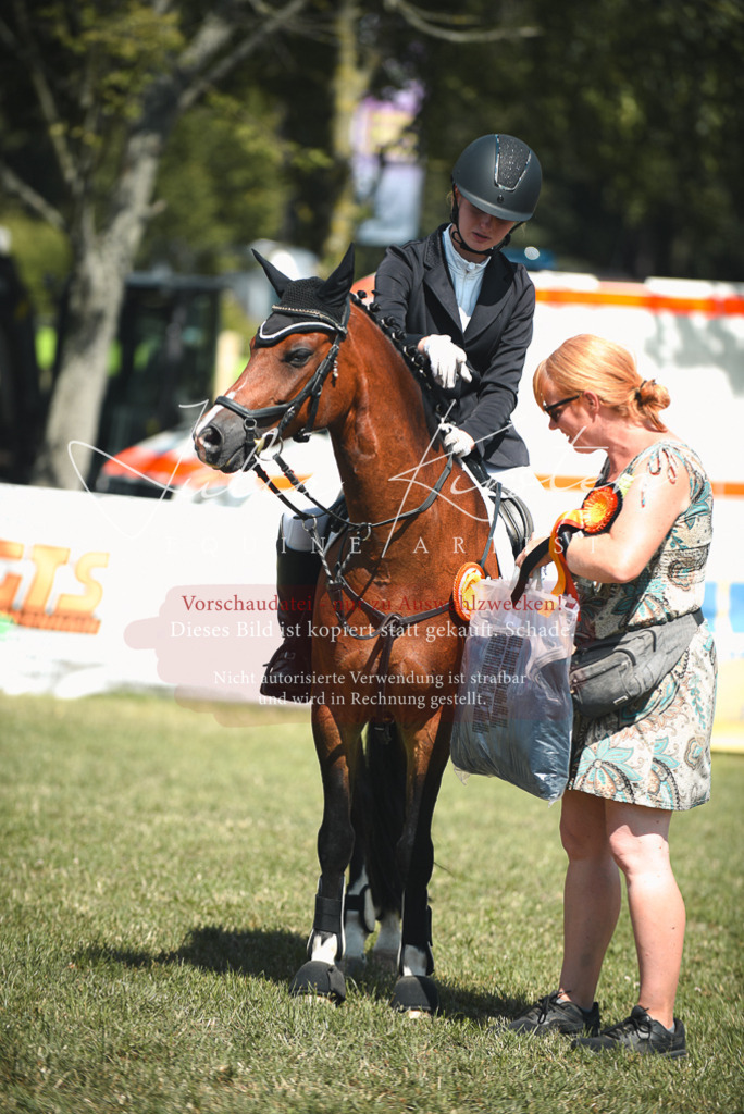 DSC_6817 | Pferde- und Turnierfotografie in Westsachsen. Pferdeportraits, Auftragszeichnungen und intuitive Kunst.