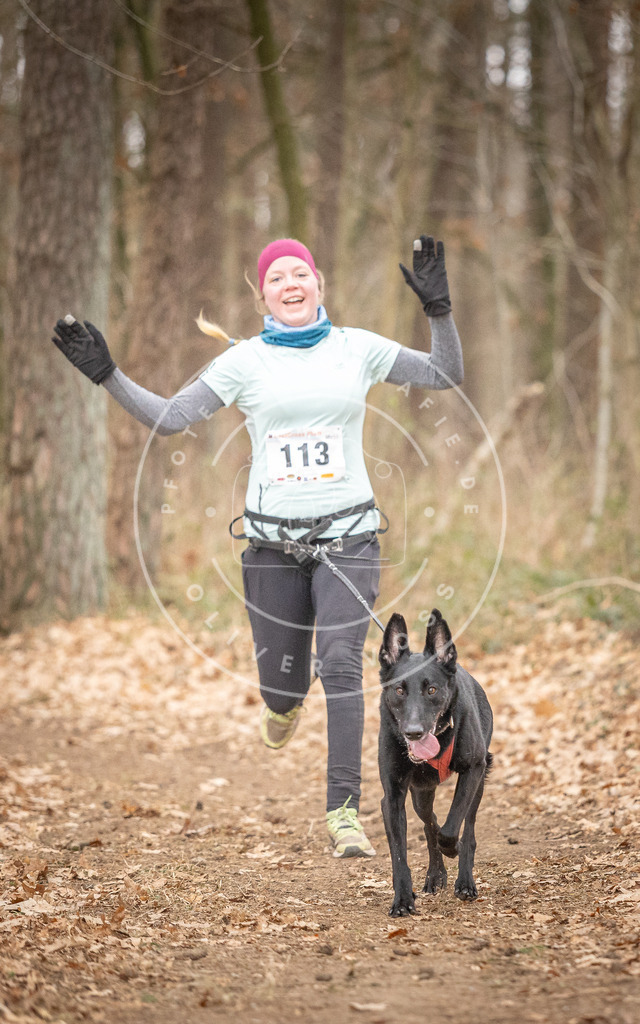 Pfotenfotografie_DV3A7719 | Hundefotografie, Tierfotograf, Pfotenfotografie, Fotoshooting Hund, Hunde Portrait, Hundesport, Hundeportraits, Heideshooting, Hunde, Sportfotograf, Hundefotograf, Turnierhundsport, THS,  - Realisiert mit Pictrs.com