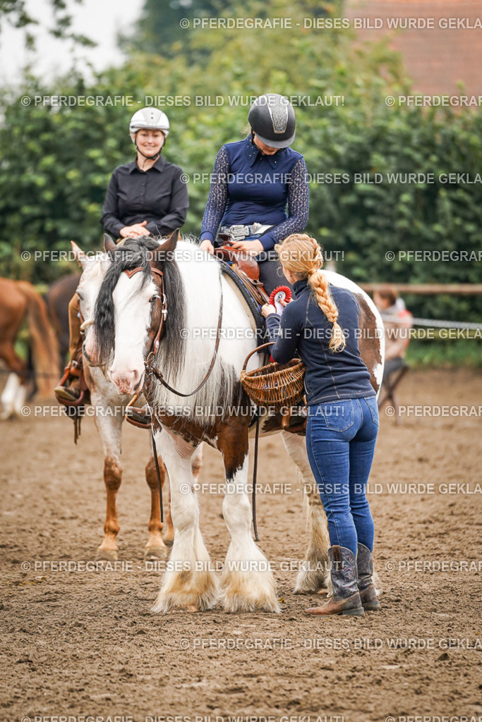 DSC02098 | Pferdegrafie