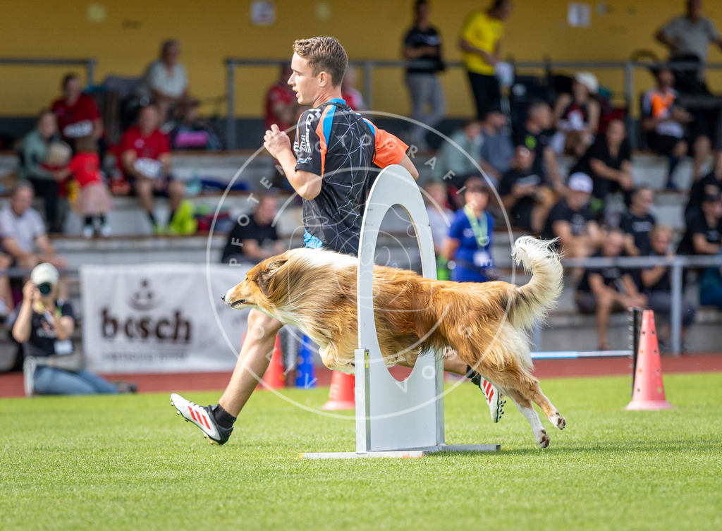 Pfotenfotografie_DV3A1038 | Hundefotografie, Tierfotograf, Pfotenfotografie, Fotoshooting Hund, Hunde Portrait, Hundesport, Hundeportraits, Heideshooting, Hunde, Sportfotograf, Hundefotograf, Turnierhundsport, THS,  - Realisiert mit Pictrs.com