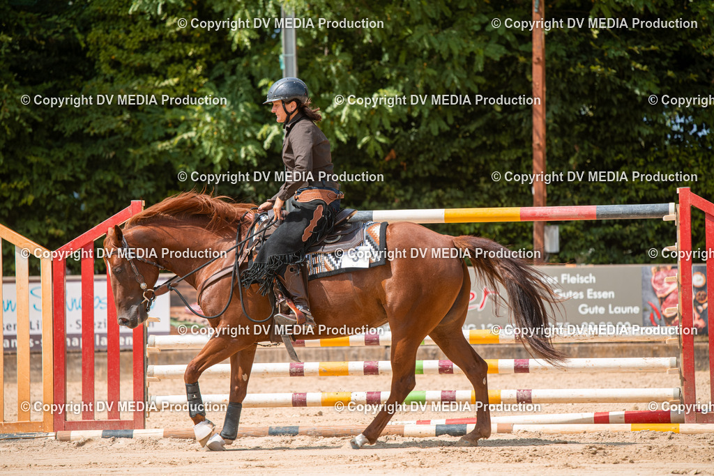 ZS2_8252 | dv-media-shop - Realisiert mit Pictrs.com