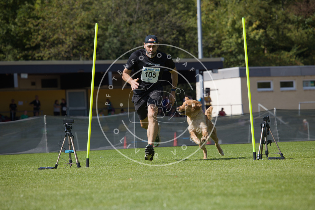 0L8A2625 | Hundefotografie, Tierfotograf, Pfotenfotografie, Fotoshooting Hund, Hunde Portrait, Hundesport, Hundeportraits, Heideshooting, Hunde, Sportfotograf, Hundefotograf, Turnierhundsport, THS,  - Realisiert mit Pictrs.com