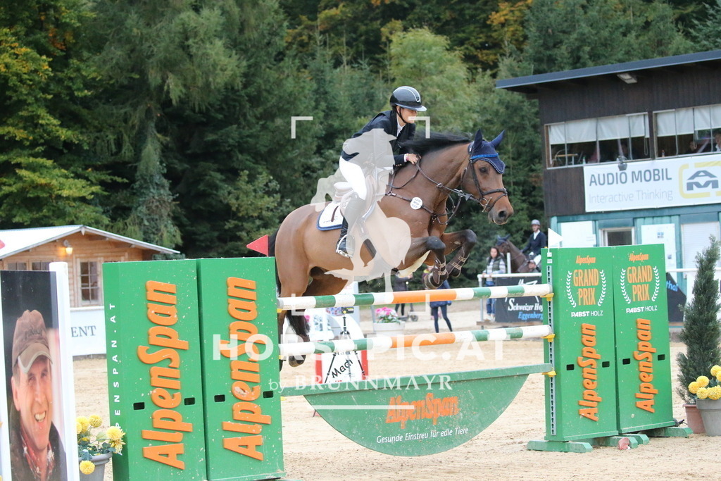 DL2Q6514 | Willkommen bei Brunnmayr - Design & Fotografie – Ihrem Spezialisten für Reitturniere und Pferdeveranstaltungen in Oberösterreich, Salzburg und Bayern! Seit über 17 Jahren sind wir leidenschaftlich dabei.