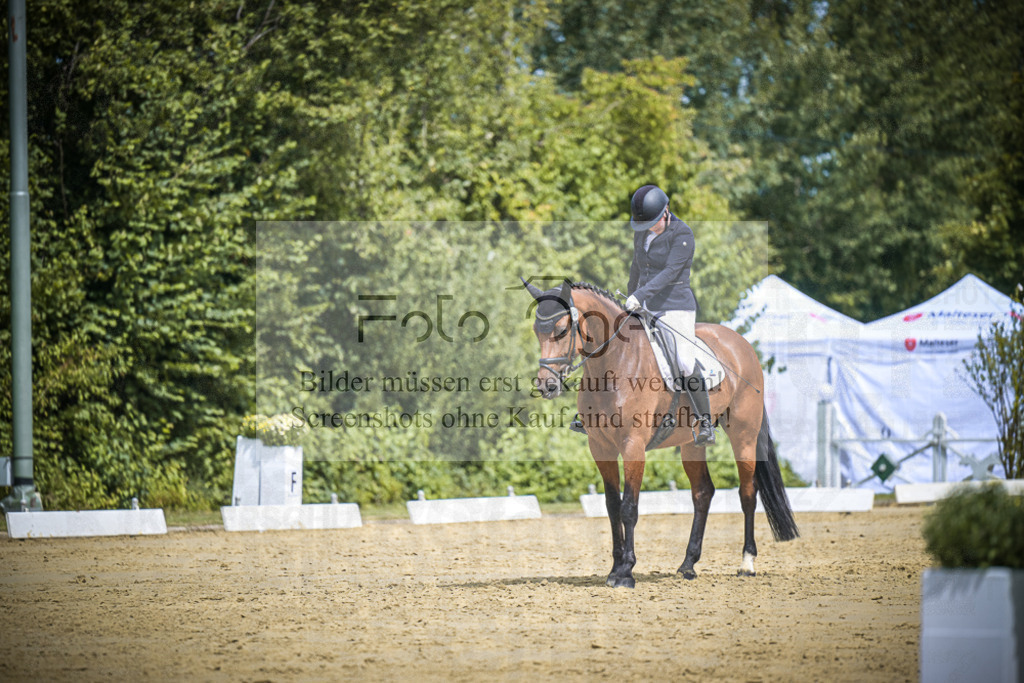 DOS_4041 | Entdecke hochwertige Reitturnierfotos von Foto Oger. Professionell, emotional und authentisch – jetzt Lieblingsmomente im Shop bestellen.Deutschlandweite Turnierfotografie. - Realisiert mit Pictrs.com