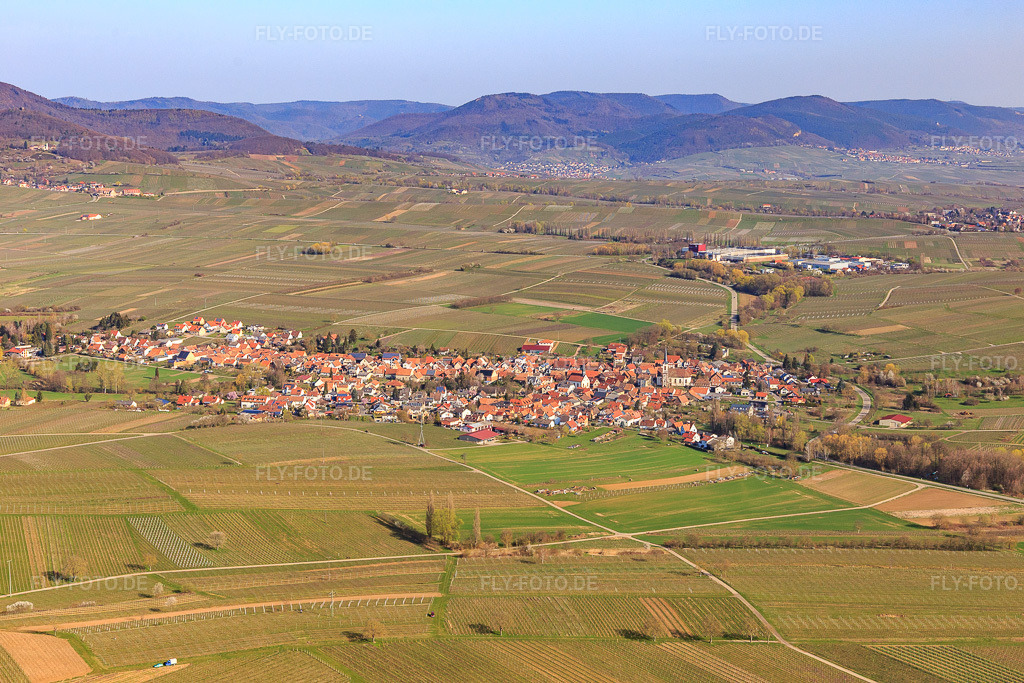 Luftbild: Ortsansicht von Süden in Göcklingen im Bundesland Rheinland-Pfalz in Deutschland. Foto: IMG_113295.jpg vom 30.03.2019 durch Werner Riehm/FLY-FOTO.de