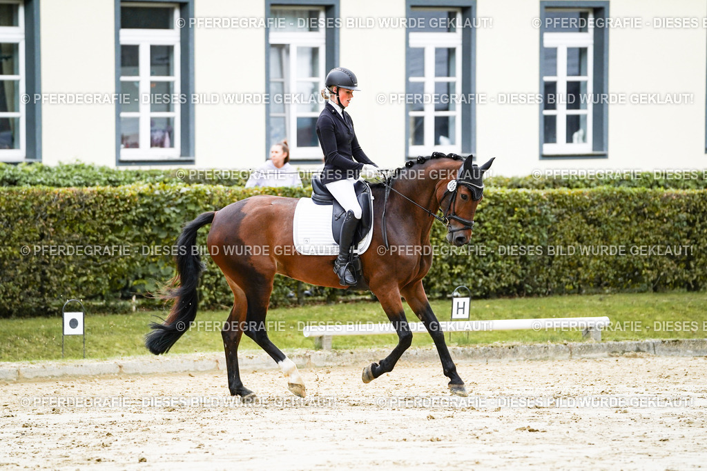 DSC06315 | Pferdegrafie