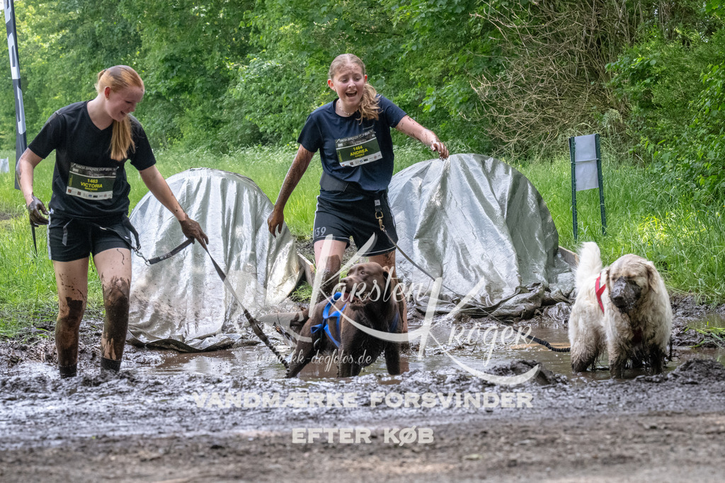 1251_ZZ93908 | kk-dogfotos