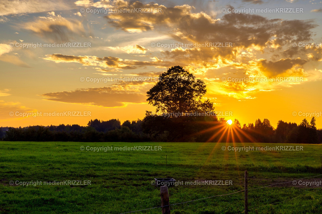 _J3A2727 | medienkrizzler - Realisiert mit Pictrs.com