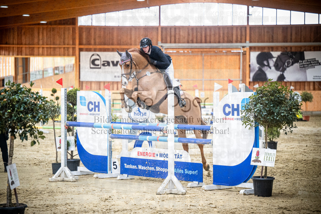 DOS_1398 | Entdecke hochwertige Reitturnierfotos von Foto Oger. Professionell, emotional und authentisch – jetzt Lieblingsmomente im Shop bestellen.Deutschlandweite Turnierfotografie. - Realisiert mit Pictrs.com