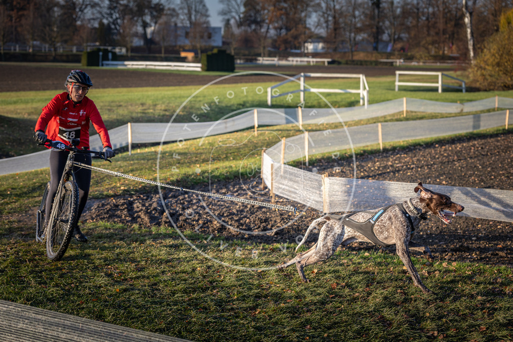CaniXpix_DV3A0502 | Hundefotografie, Tierfotograf, Pfotenfotografie, Fotoshooting Hund, Hunde Portrait, Hundesport, Hundeportraits, Heideshooting, Hunde, Sportfotograf, Hundefotograf, Turnierhundsport, THS,  - Realisiert mit Pictrs.com