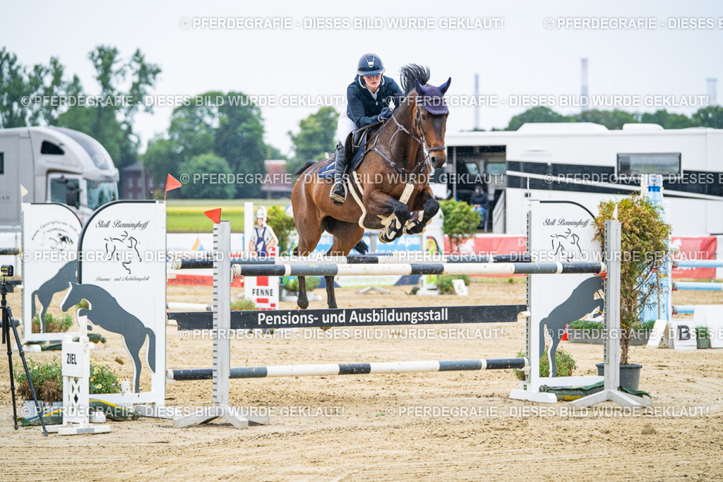 DSC09261 | Pferdegrafie