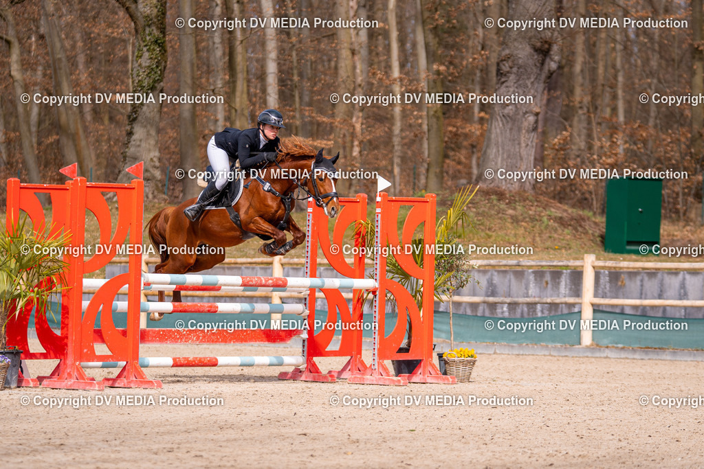 Kranichstein Tag 1-673 | dv-media-shop - Realisiert mit Pictrs.com