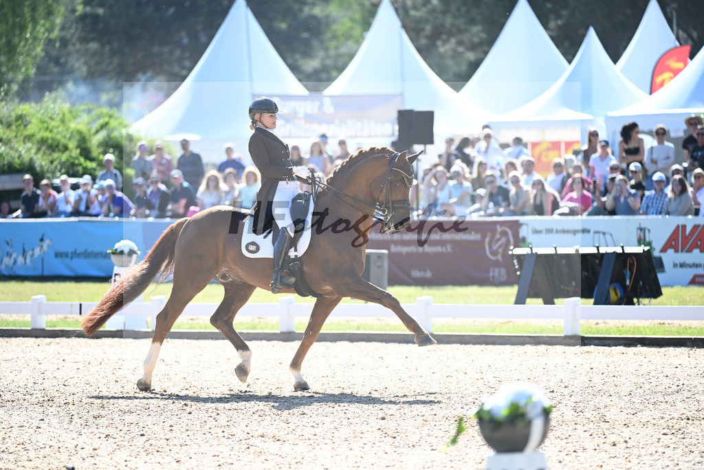 Reichert_Springbank II VH_11253823 | hf-fotografie - Realisiert mit Pictrs.com
