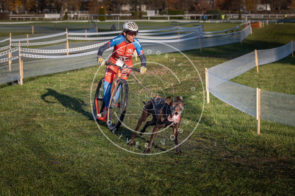 CaniXpix_0L8A3705 | Hundefotografie, Tierfotograf, Pfotenfotografie, Fotoshooting Hund, Hunde Portrait, Hundesport, Hundeportraits, Heideshooting, Hunde, Sportfotograf, Hundefotograf, Turnierhundsport, THS,  - Realisiert mit Pictrs.com