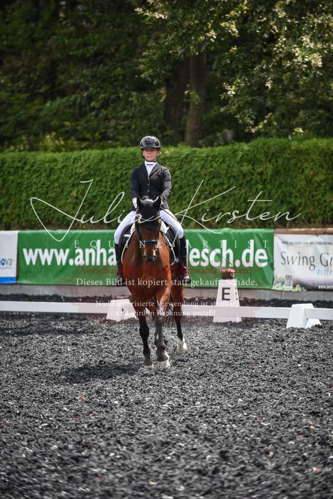 DSC_4759 | Pferde- und Turnierfotografie in Westsachsen. Pferdeportraits, Auftragszeichnungen und intuitive Kunst.