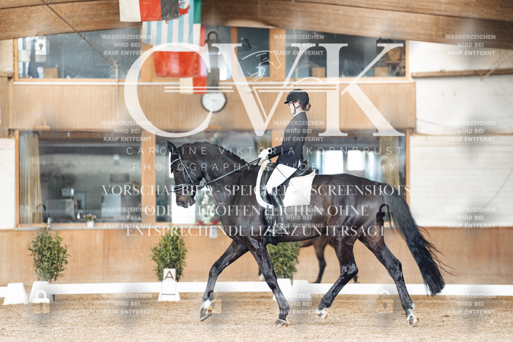 CK902488 | Turnierfotografie Pferdefotografie Trier Rheinland-Pfalz Pferdesport Reitsport Tierfotografie Sportfotografie Pferdevideo Pferdevideografie Equestrianvideography equestrianphotography  - Realisiert mit Pictrs.com
