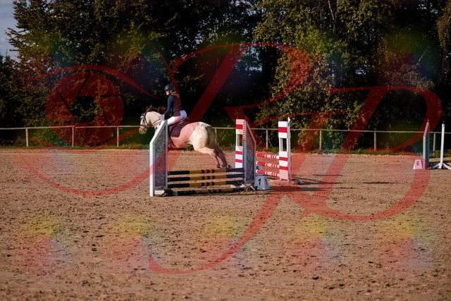 2026_10_03_Siefer-Hof_154451_Z81_62910357 | Professionelle Reitsport-, Turnier- und Eventfotografie von Robert Broda. Galerien mit ausgewählten und bearbeiteten Bildern direkt online ansehen und bestellen.