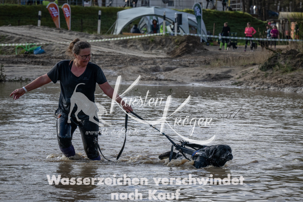 0931_ZZ92287 | kk-dogfotos
