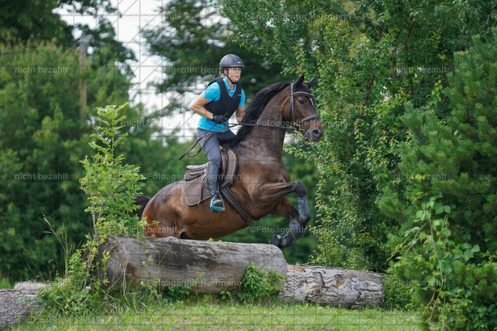 20240622-FAH07678 | Turnierfotografen Bayern, Reitsportbilder aus dem Geländekurs mit Felix Etzel auf dem Gut Waitzacker 2024