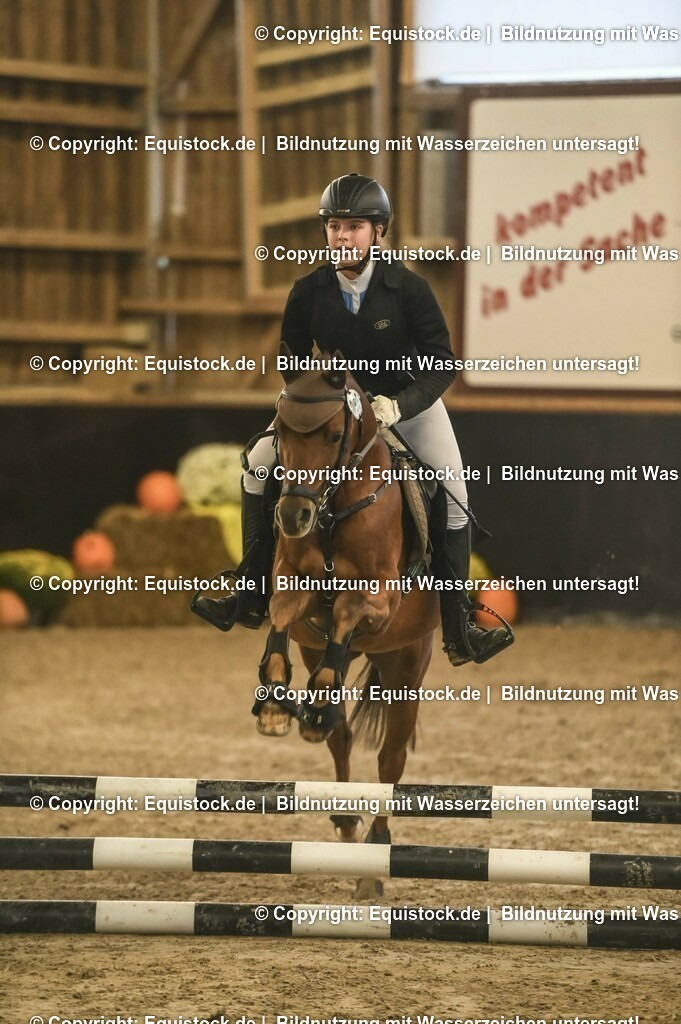 20231029_07_Stilspring-WB-50cm_0081 | Foto: Thomas Hartig