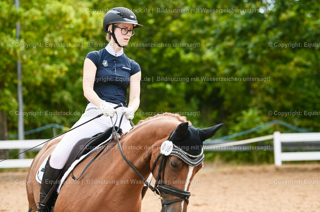 20230715_07_Dressurpferdeprfg. Kl.L_0079 | equistock