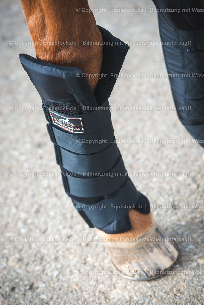 20191030_Wärmegamaschen_0005 | equistock