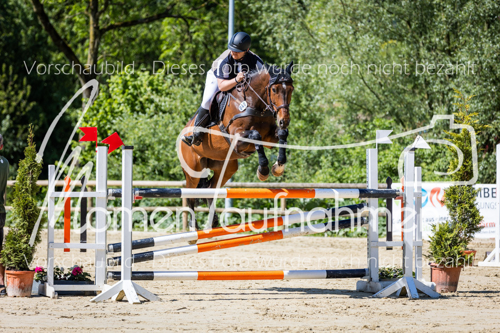 Donop24-M-Spr-028 | MomenTaufnahmen Pferdesportfotos