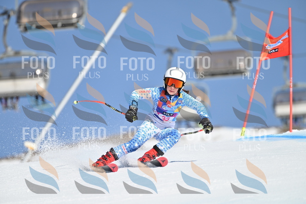 BGV_8194 | holidayphoto