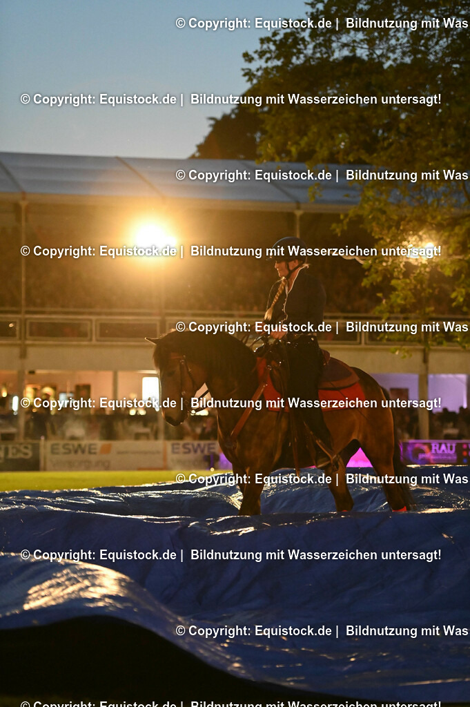 20230526_Pferdenacht_1012 | equistock