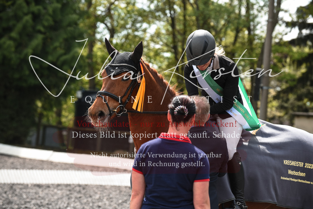 20230514_JK-Röhrsdorf-23-0017 | Pferde- und Turnierfotografie in Westsachsen. Pferdeportraits, Auftragszeichnungen und intuitive Kunst.