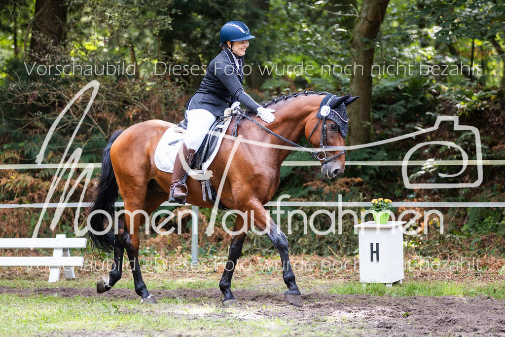 HB-Dressur-WB-132 | MomenTaufnahmen Pferdesportfotos