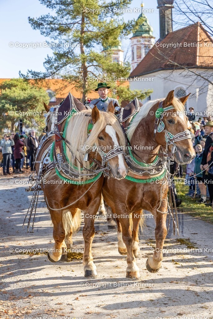 LBT25-1061 | foto-bettina-krinner - Realisiert mit Pictrs.com