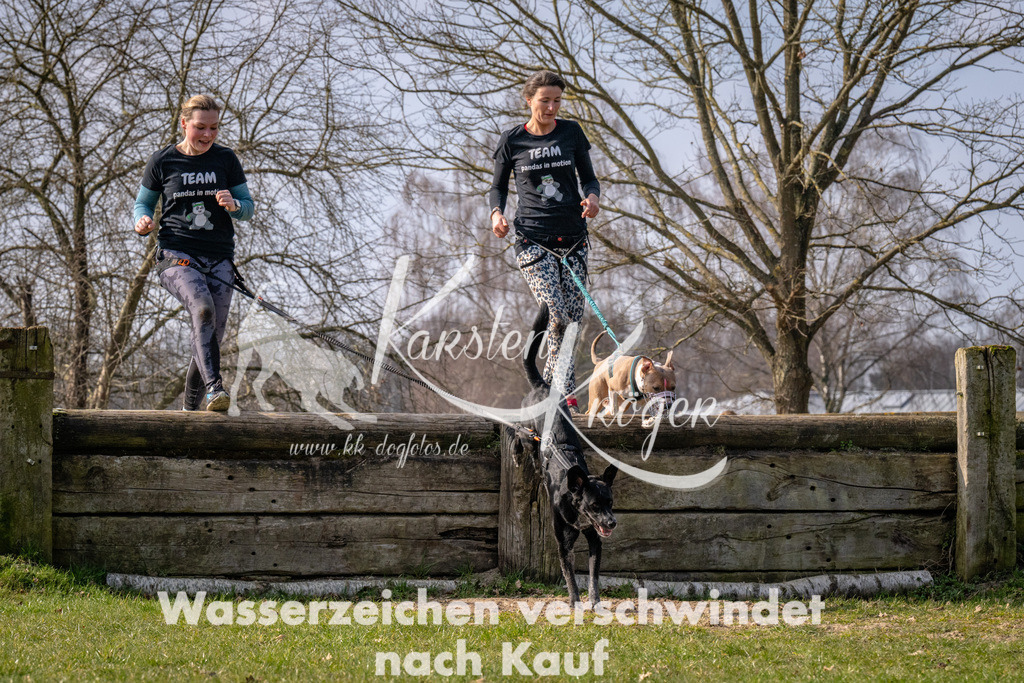 _ZZ90565 | kk-dogfotos