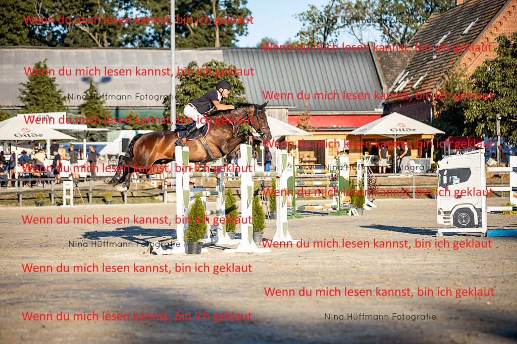 BK1A8548 | Turnierbilder Turnierfotos Nina Hüffmann Turnierfotografie Pferdefotografie Tierzeichnung Haustierzeichnung Pferdezeichnung Hundezeichnung Videograf  - Realisiert mit Pictrs.com
