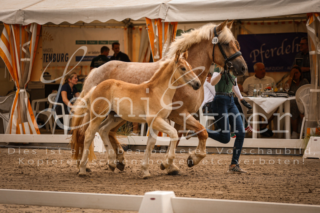 SaSF00069 | Leoni Ertmer Photography - Realisiert mit Pictrs.com