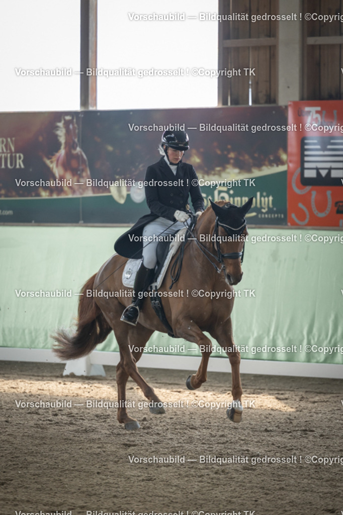 _D5A4591 | Emotionale Pferde- & People-Fotografie rund um Heidelberg, Leimen & Umgebung. Natürliche Fotos von Pferd, Mensch & Familie. Jetzt Termin sichern!