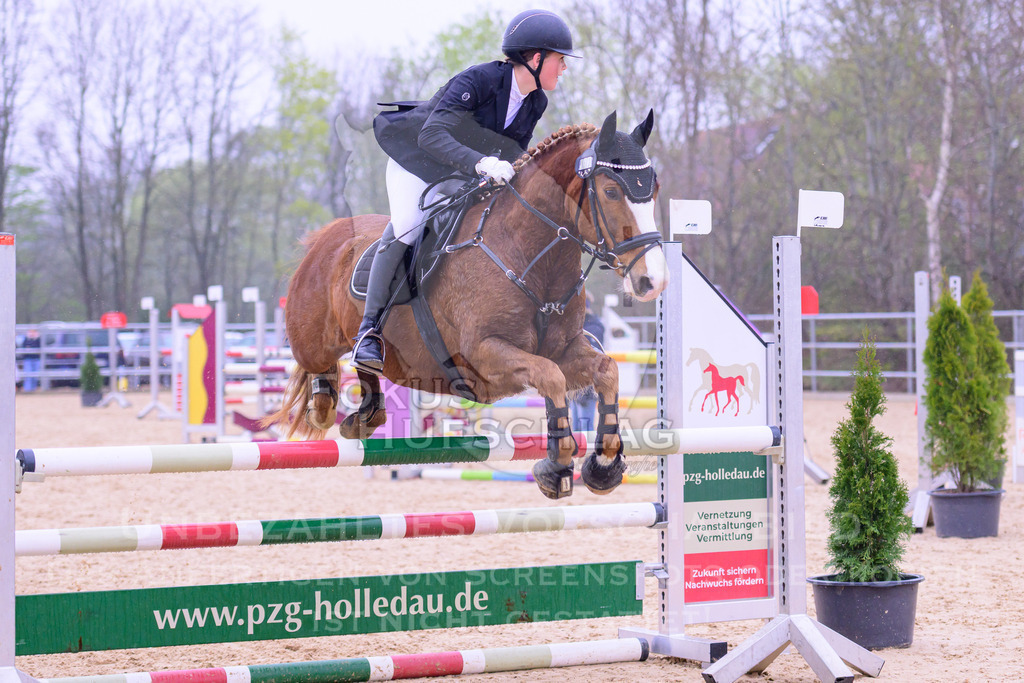 12042026-Mammendorf-Prfg41-0075 | Fokus Hufschlag Fotografie - Realisiert mit Pictrs.com