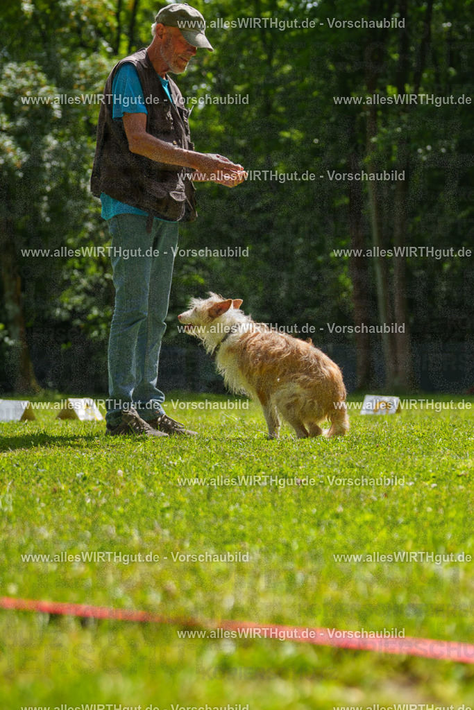 @allesWIRTHgut_Tierfotografie - www.allesWIRTHgut.de - 7R505554 | Professionelle Tierfotografie in Mönchengladbach von Daniel Wirth (allesWIRTHgut). Liebevolle & natürliche Bilder von Hunden & Katzen für unvergessliche Erinnerungen.